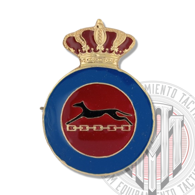 DISTINTIVO TITULO INSTRUCTOR DE EDUCACION FISICA