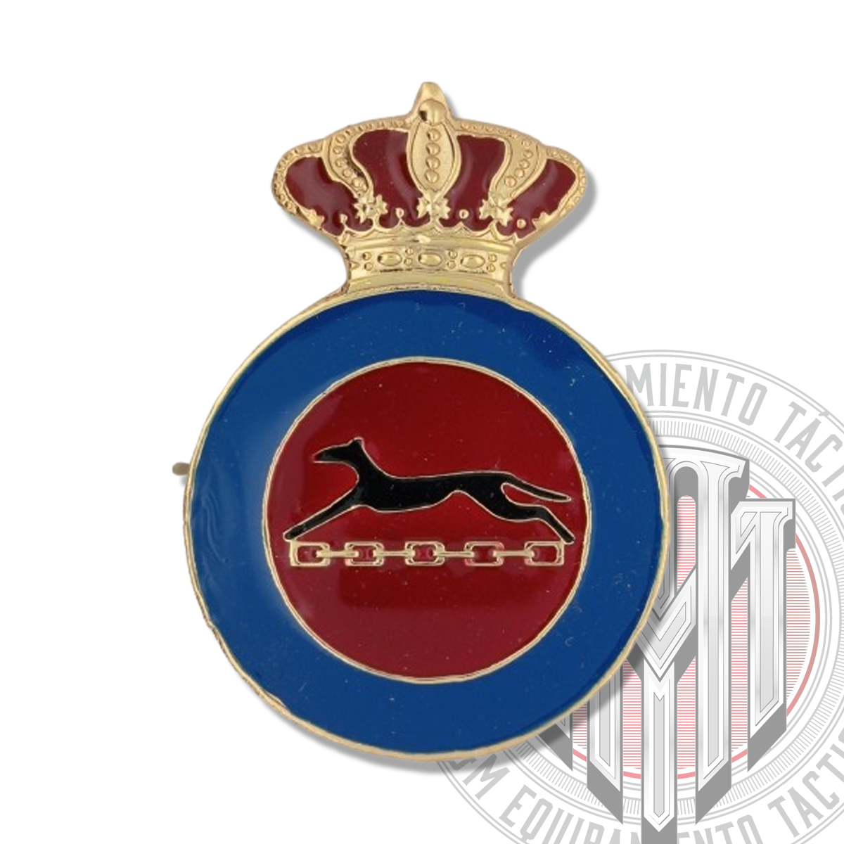 DISTINTIVO TITULO INSTRUCTOR DE EDUCACION FISICA
