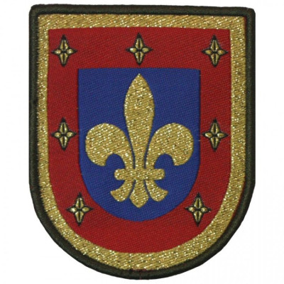 EMBLEMA REPRESENTACIÓN BRAZO Adiestramiento y de Doctrina (MADOC)