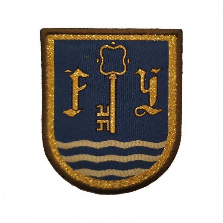 EMBLEMA REPRESENTACIÓN BRAZO MANDO FUERZAS TERRESTRE -FUTER