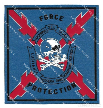 PARCHE MISIÓN FORCE PROTECCIÓN RGTO CABALLERIA LUSITANIA 8 irag/IRAK
