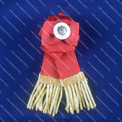 DISTINTIVO DE PROFESORADO POLICIA NACIONAL