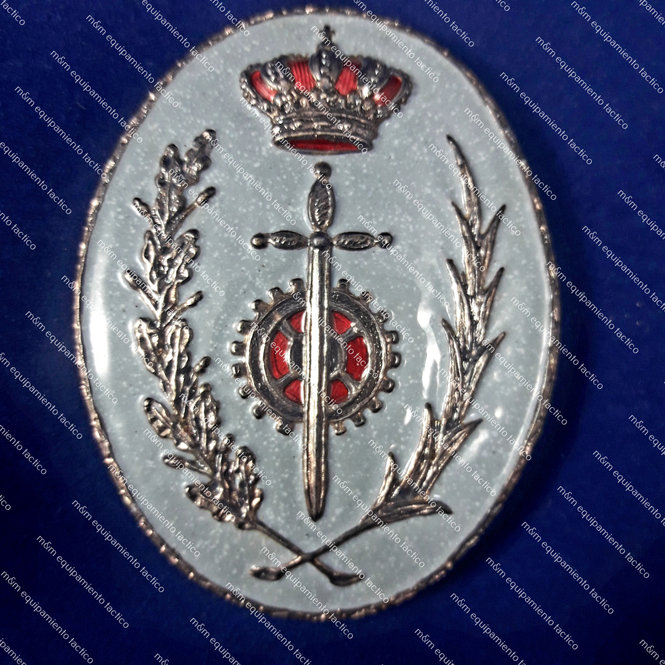 PLACA PECHO FUNCIONARIO INSTITUCIONES PENITENCIARIAS