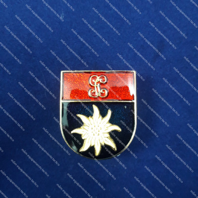 DISTINTIVO TITULO GUARDIA CIVIL MONTAÑA