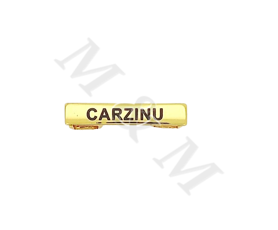 BARRA CARZINU CURSO BÁSICO DE EMERGENCIA OFICIALES Y SUBOFICIALES