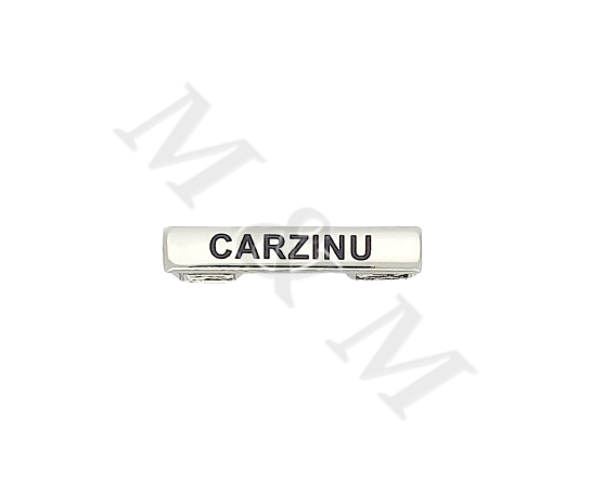 BARRA CARZINU CURSO BÁSICO DE EMERGENCIA TROPA Y MARINERIA