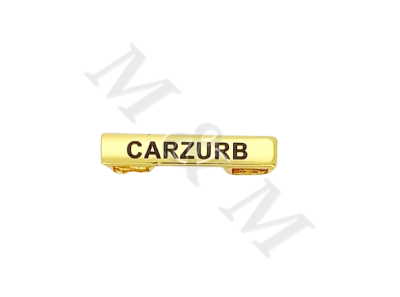 BARRA CARZURB CURSO BÁSICO DE EMERGENCIA OFICIALES Y SUBOFICIALES