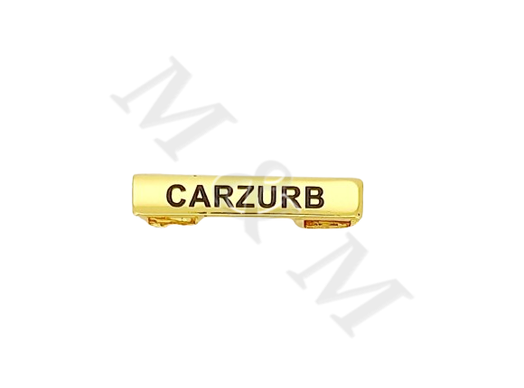 BARRA CARZURB CURSO BÁSICO DE EMERGENCIA OFICIALES Y SUBOFICIALES