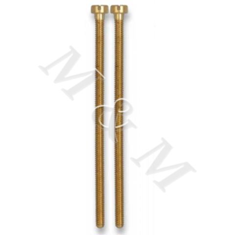 TORNILLOS LARGOS PARA DISTINTIVOS (PAR)